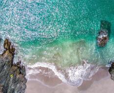 ca199是什么意思（ca199糖类抗原是什么意思）