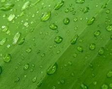 ca199是什么意思（ca199糖类抗原是什么意思）