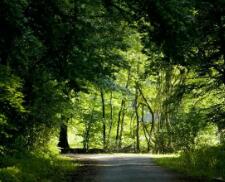 ca199是什么意思（ca199糖类抗原是什么意思）